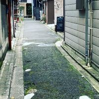 画像1426