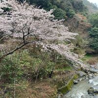 画像1432