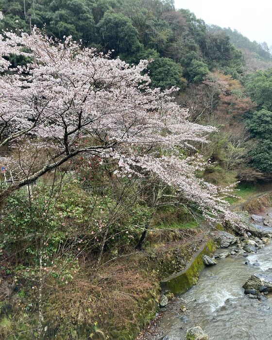画像1432