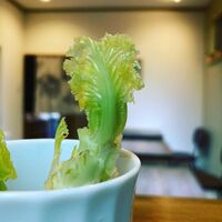 画像1613
