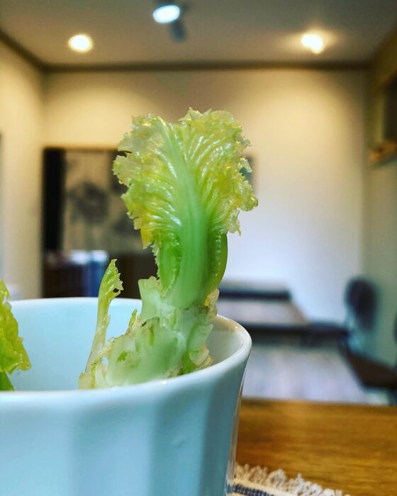 画像1613